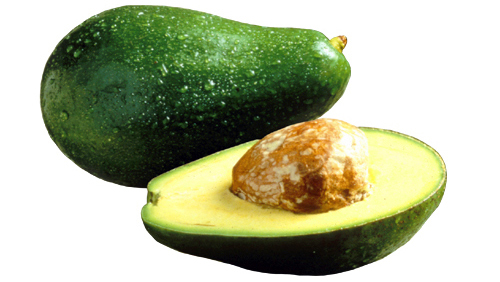 Avocado