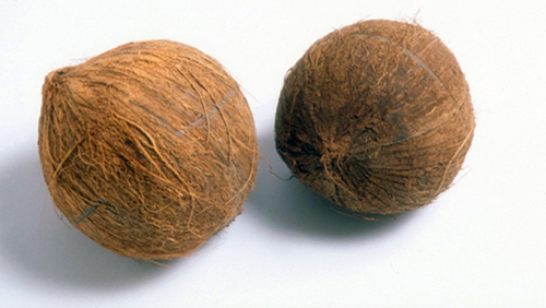 Coconut