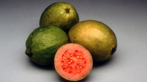 Guava