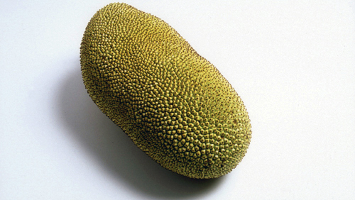 Jackfruit