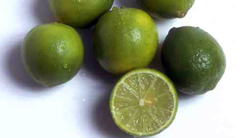 Lime (Tahitian/Persian/FL Key Lime)