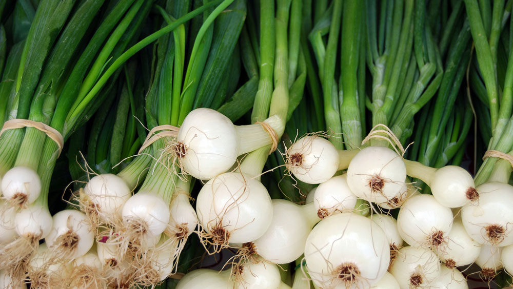 Onions, bunching (Green and Shallots)