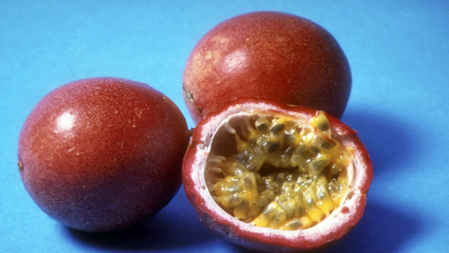 Passion Fruit