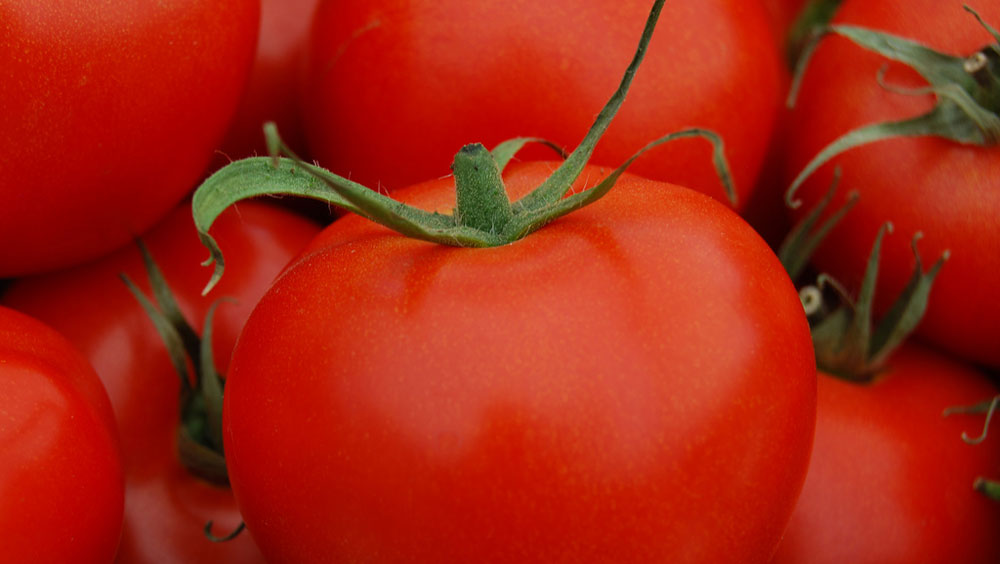 Tomatoes (Staked or Caged)