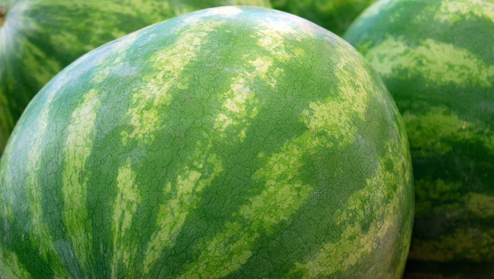 Watermelon